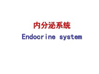 内分泌系统 Endocrine system