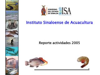Instituto Sinaloense de Acuacultura Reporte actividades 2005
