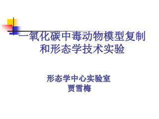 一氧化碳中毒动物模型复制 和形态学技术实验