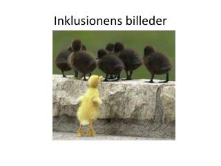 Inklusionens billeder