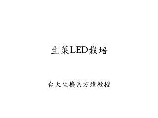 生菜 LED 栽培