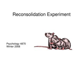 Reconsolidation Experiment