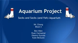 Aquarium Project