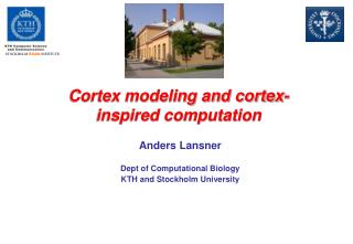 Cortex modeling and cortex-inspired computation