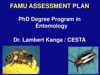 FAMU ASSESSMENT PLAN PhD Degree Program in Entomology Dr. Lambert Kanga / CESTA