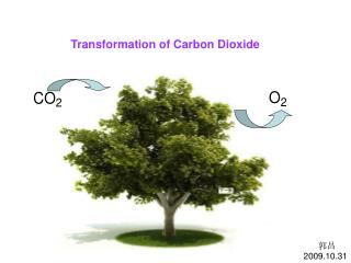 Transformation of Carbon Dioxide