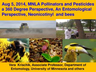 Vera Krischik, Associate Professor, Department of Entomology, University of Minnesota and others