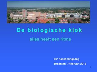 De biologische klok