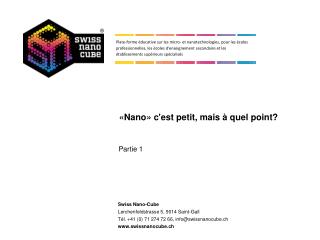 «Nano» c'est petit, mais à quel point?