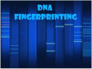 DNA FINGERPRINTING