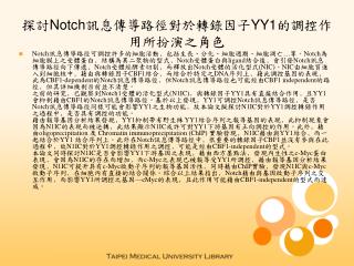 探討 Notch 訊息傳導路徑對於轉錄因子 YY1 的調控作用所扮演之角色