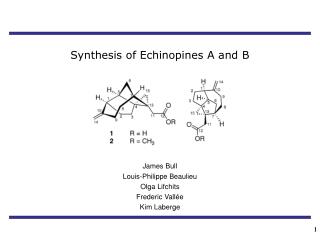 Synthesis of Echinopines A and B