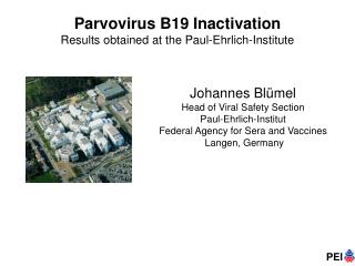 Parvovirus B19 Inactivation Results obtained at the Paul-Ehrlich-Institute