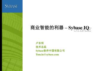 商业智能的利器 – Sybase IQ