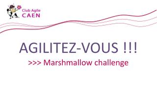 AGILITEZ-VOUS !!! &gt;&gt;&gt; Marshmallow challenge