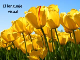 El lenguaje visual