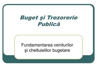 Buget şi Trezorerie Publică