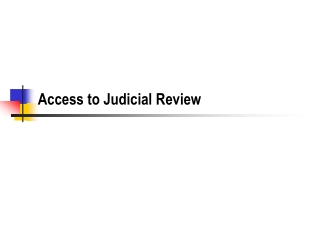 Access to Judicial Review