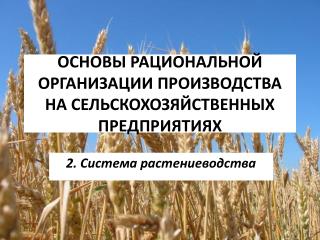 ОСНОВЫ РАЦИОНАЛЬНОЙ ОРГАНИЗАЦИИ ПРОИЗВОДСТВА НА СЕЛЬСКОХОЗЯЙСТВЕННЫХ ПРЕДПРИЯТИЯХ