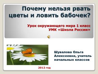 Почему нельзя рвать цветы и ловить бабочек? Урок окружающего мира 1 класс УМК «Школа России»