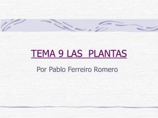 TEMA 9 LAS PLANTAS