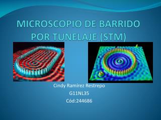 MICROSCOPIO DE BARRIDO POR TUNELAJE (STM)