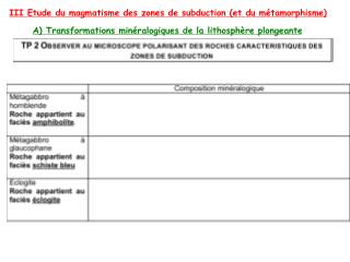 III Etude du magmatisme des zones de subduction (et du métamorphisme)