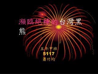 瀕臨絕種的 台灣黑熊