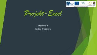 Projekt-Excel