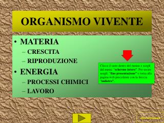 ORGANISMO VIVENTE