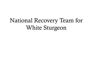 National Recovery Team for White Sturgeon