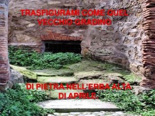 TRASFIGURAMI COME QUEL VECCHIO GRADINO
