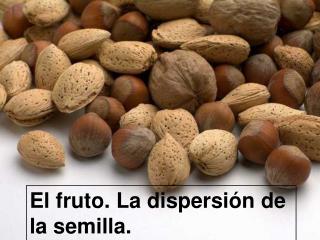 El fruto. La dispersiÃ³n de la semilla.