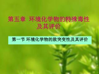 第五章 环境化学物的特殊毒性及其评价