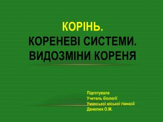 Корінь. Кореневі системи. Видозміни кореня