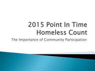 2015 Point In Time Homeless Count