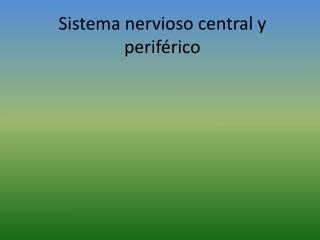 Sistema nervioso central y periférico