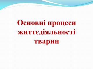 Основні процеси життєдіяльності тварин