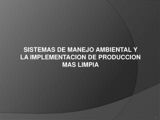 SISTEMAS DE MANEJO AMBIENTAL Y LA IMPLEMENTACION DE PRODUCCION MAS LIMPIA