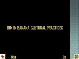 INM IN BANANA CULTURAL PRACTICES