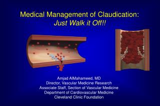 Amjad AlMahameed, MD Director, Vascular Medicine Research