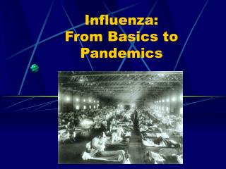 Influenza: From Basics to Pandemics