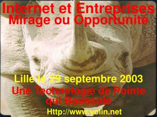 Internet et Entreprises Mirage ou Opportunité