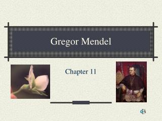 Gregor Mendel