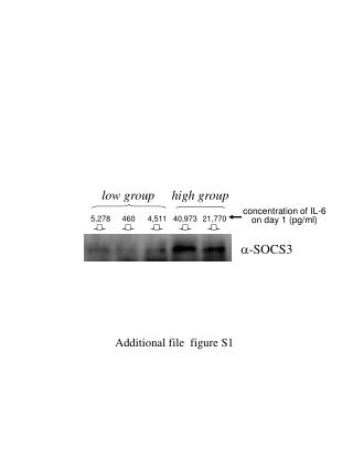  -SOCS3