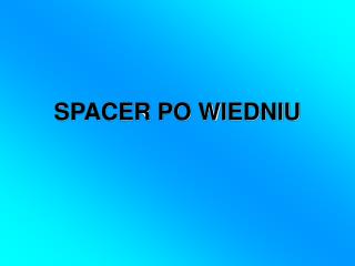 SPACER PO WIEDNIU