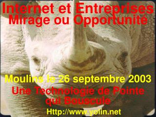 Internet et Entreprises Mirage ou Opportunité