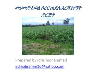 መሀመድ አወል ቦረር ጠደሌ እርሻ ልማት ድርጅት