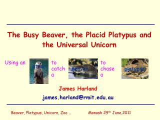 The Busy Beaver, the Placid Platypus and the Universal Unicorn