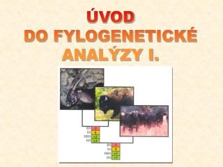 ÚVOD DO FYLOGENETICKÉ ANALÝZY I.